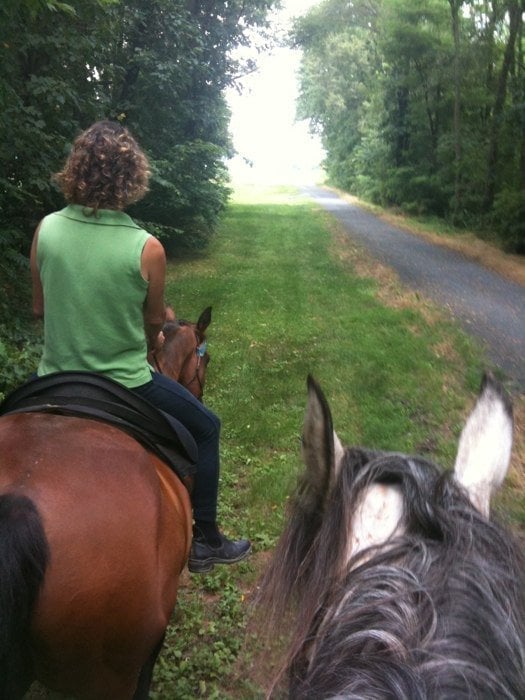 Winsome Farm7
