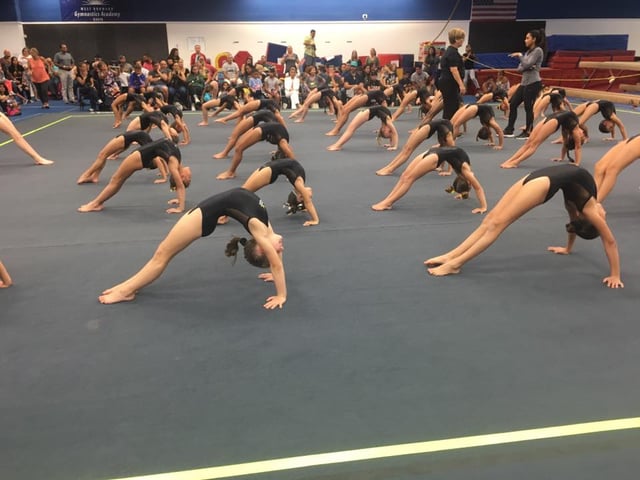 Tumblebees 3