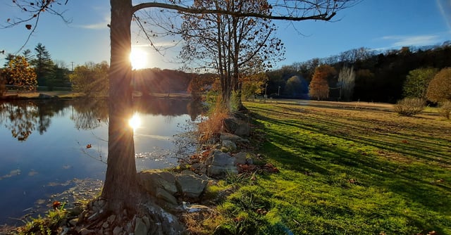 Eiserman Park (6)