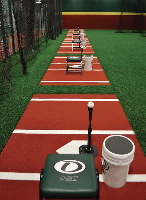 CageArea.jpg