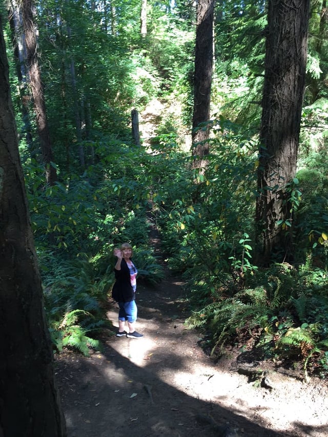 Forest Park6