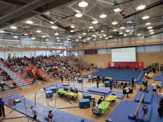 gymnastics