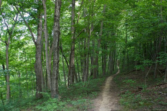 east fork trail