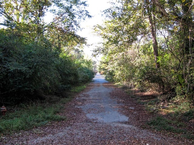 Creek 1