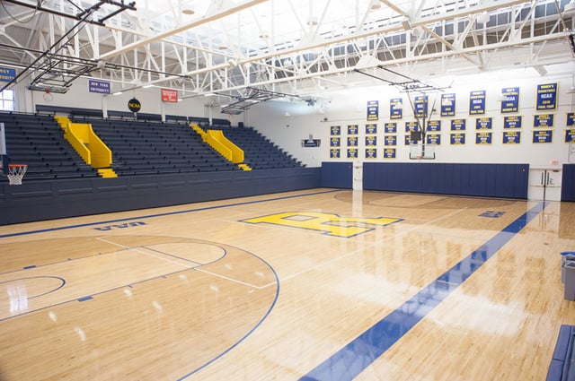 Rochester palestra