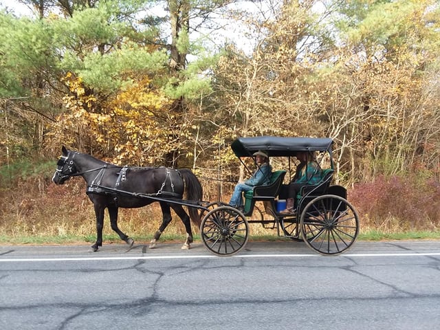 Wild West Ranch LLC9