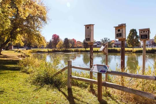 Ann Morrision Park.jpg