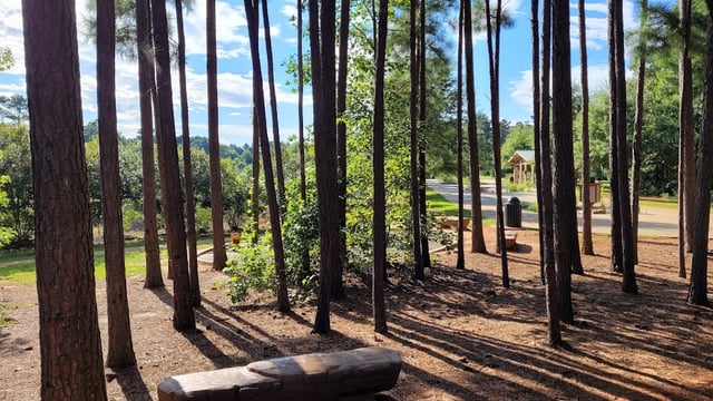 Caney Creek Preserve4