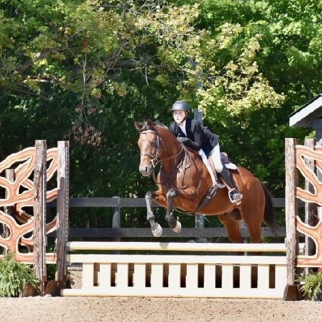 Equine Differences 10