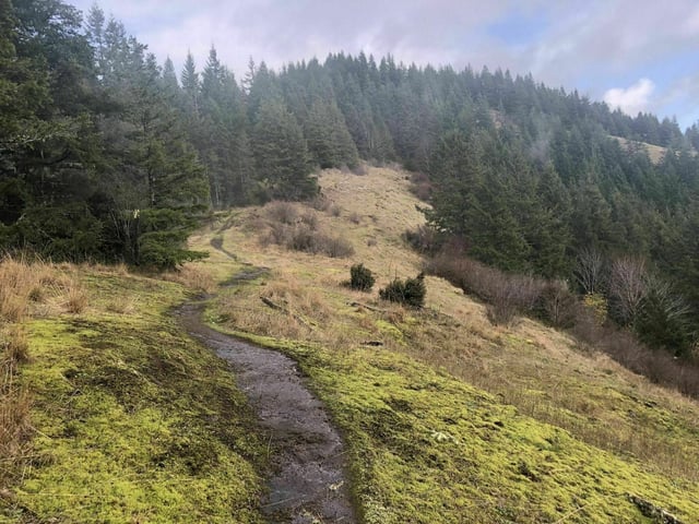 Cummins Creek Trail11
