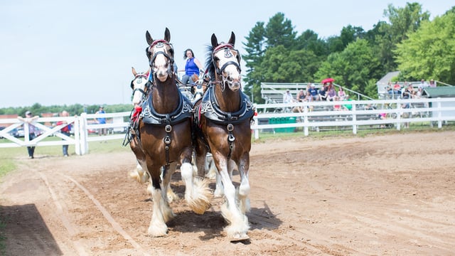 Northern WI State Fairgrounds5