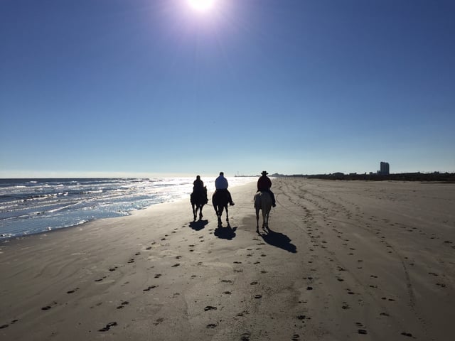 Galveston Horse and Pony Rides6
