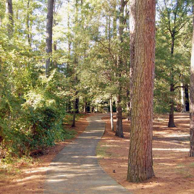 great neck park virginia beach trail.jpg