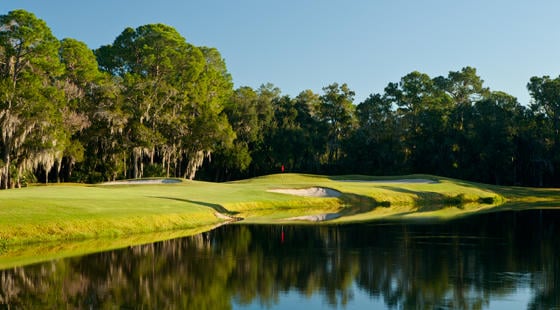 East Lake Woodlands - Golf Course6