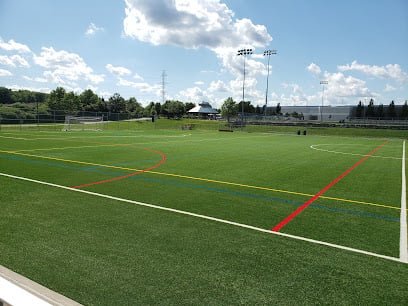 iceland arena soccer fields.jpg