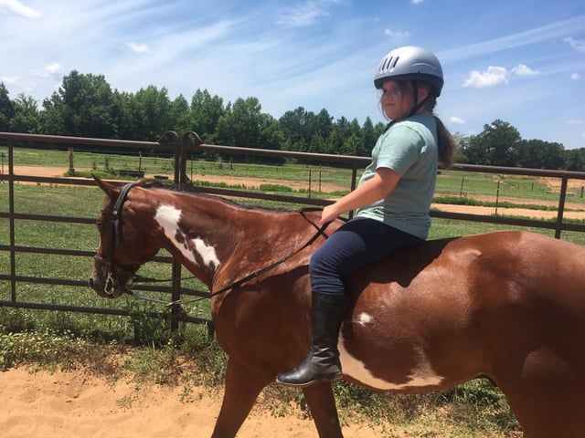 Gaston Farm Road Equestrian Center 4