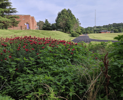 Bates Athletic Complex 2