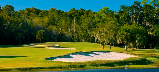 East Lake Woodlands - Golf Course5