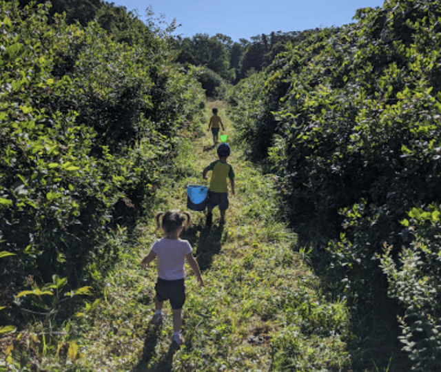 huyser farm park 7