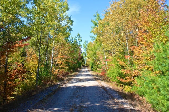 Betsie Valley Trail 4