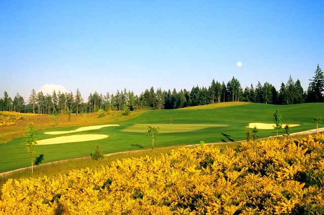 the home course 4