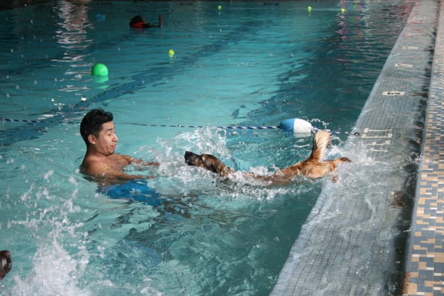 YMCA of the Greater Tri-Valley7