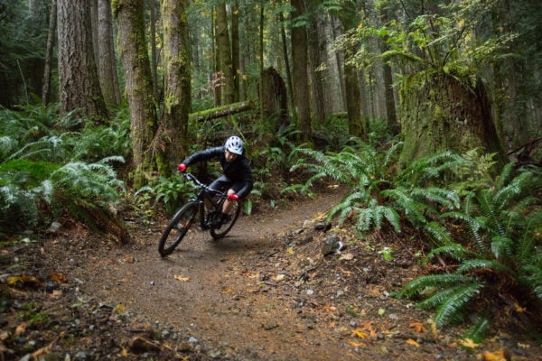 Olallie Ridge Loop 6