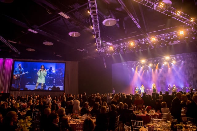 SB102117 SFHSPaintedPonyBall 161446 Large.jpeg