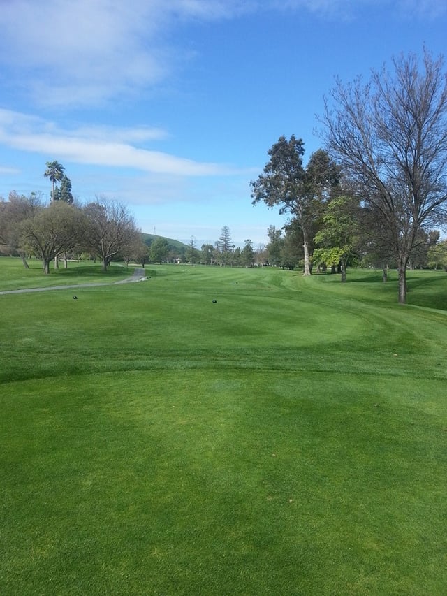 Santa Teresa Golf Club 3