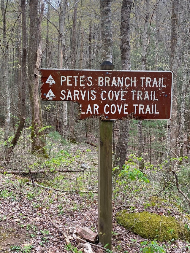 Petes Branch Falls9