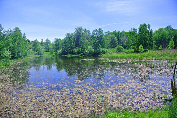 chippewa run natural area 5