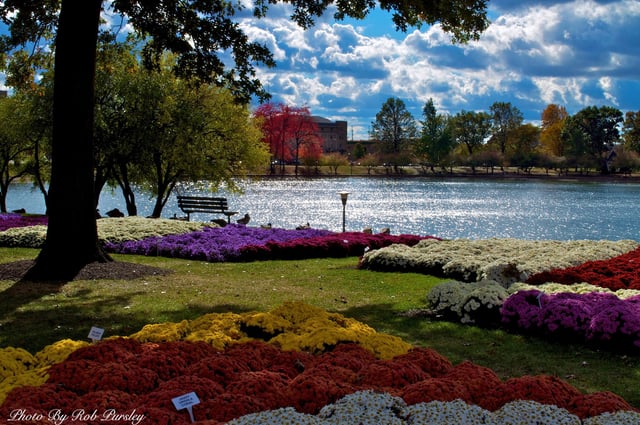 City of Barberton Parks lake.jpeg