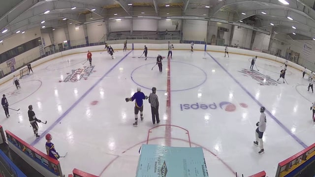 Holiday Twin Rinks 3