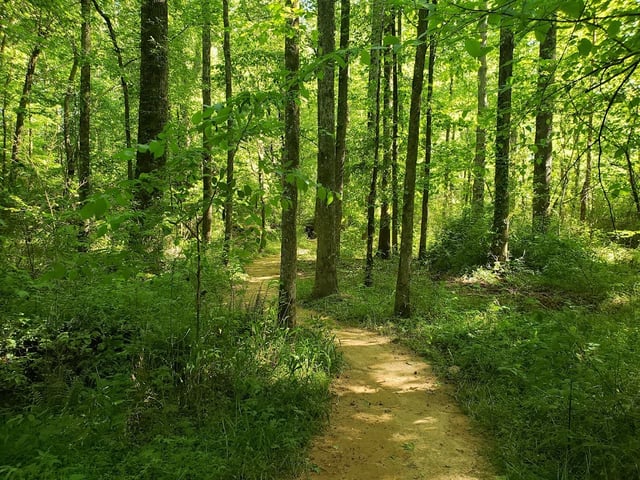 Caney Creek Preserve6