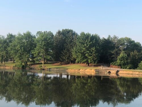 Flash Baseball Complex9