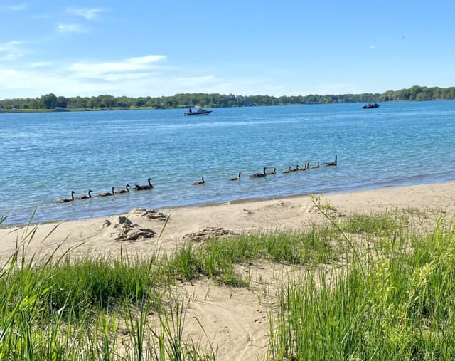 Marysville Beach & Living Shoreline Promenade 6