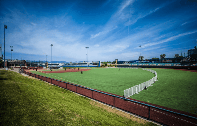 Screen Shot 2020-07-15 at 2.27.45 PM