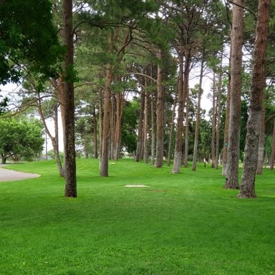 pueblo city park disc golf.jpeg