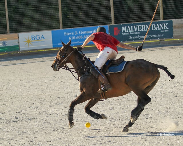 Brandywine Polo Fields & Club 5