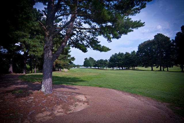 orgill park golf course