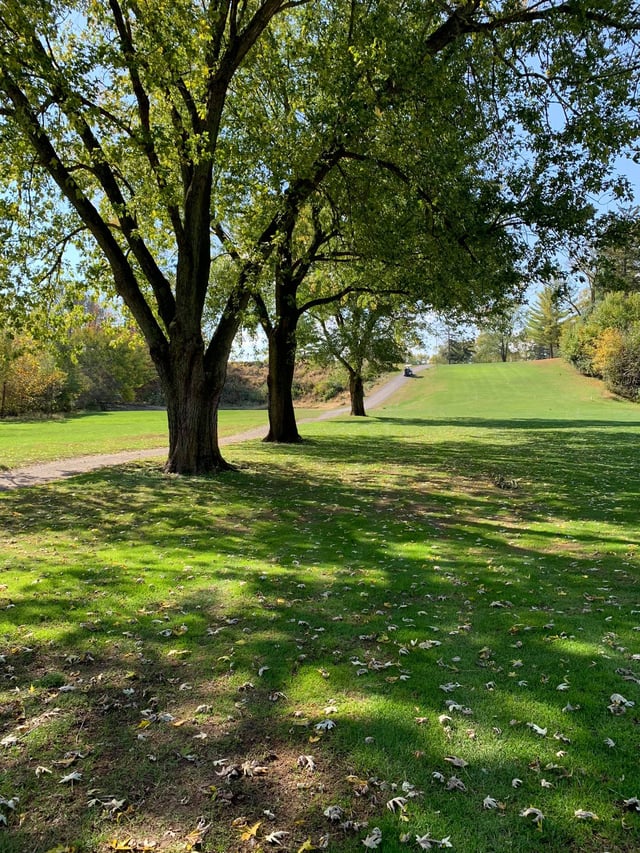 Blue Bear Golf Club8