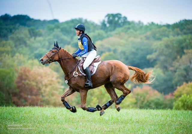 W.E. Johnson Equestrian & Archery Park 5