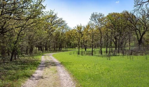 Warner Park 6