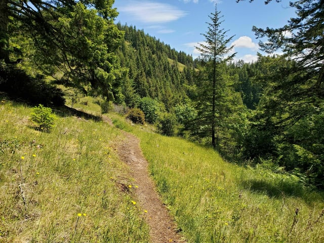 Cummins Creek Trail5