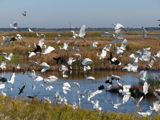 Quivira National Wildlife Refuge