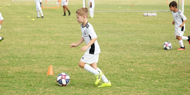 louisville champions park 4