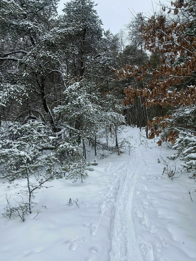 Fairview Nature Park3