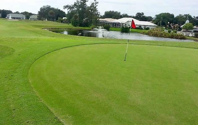 Capri Isles Golf Club 1