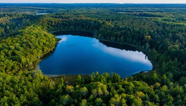 Lower Woodcock Lake Nature Preserve4
