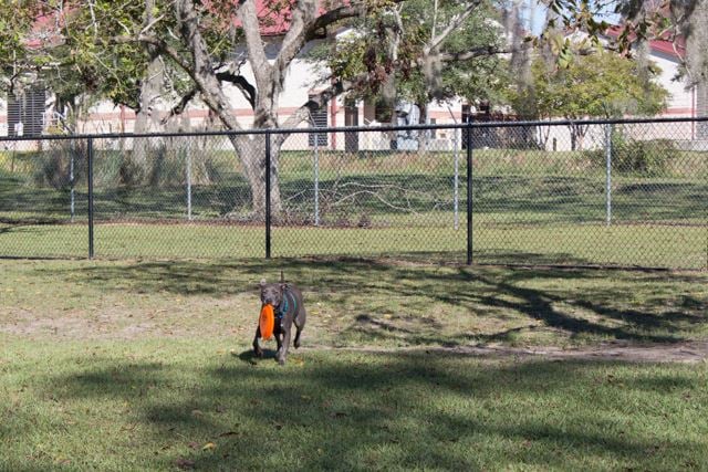 Freedom Park 2
